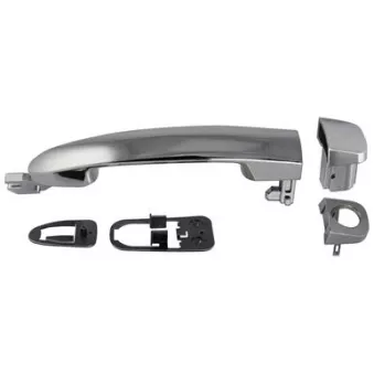 Poignée extérieure de porte avant gauche ELECTRIC LIFE OEM 1633074