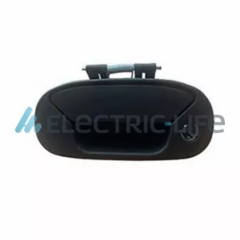 Poignée extérieure de porte ELECTRIC LIFE OEM 735331105