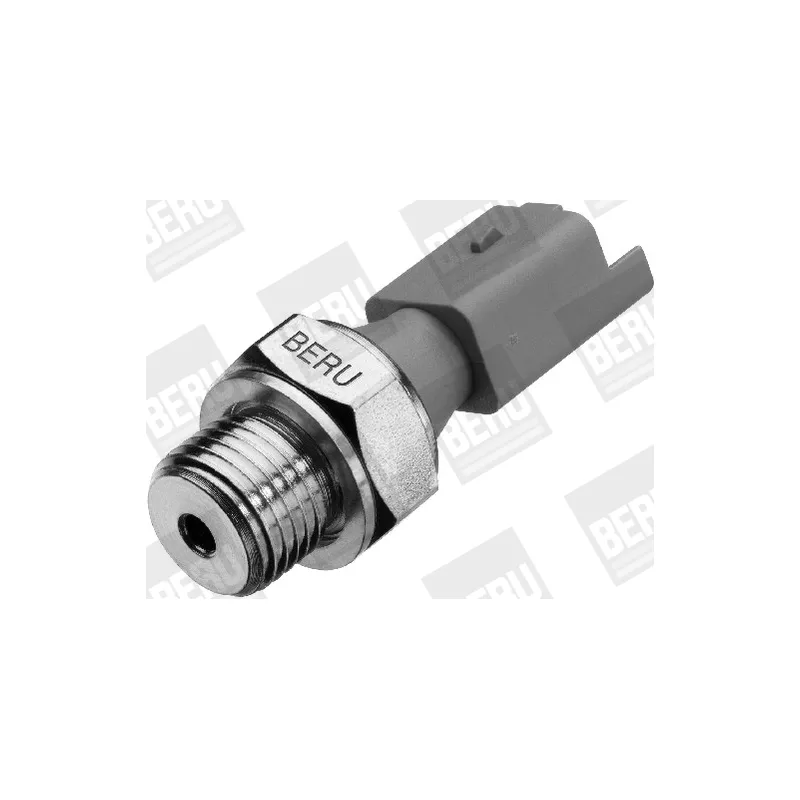 Indicateur de pression d'huile BERU by DRiV SPR024 - Visuel 1