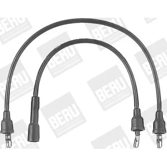 Kit de câbles d'allumage BERU by DRiV OEM 1612447