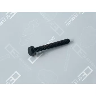 Vis, collecteur des gaz d'échappement OE Germany OEM A4479906004