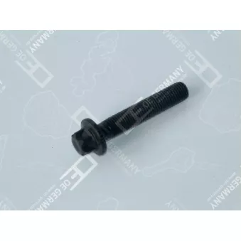 OE Germany 02 0311 206600 - Vis de bielle