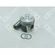 Piston OE Germany [02 0320 267600]