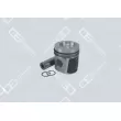 Piston OE Germany [04 0320 914000]