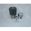 Kit de réparation, Piston/Chemise de cylindre OE Germany [04 0329 912004]
