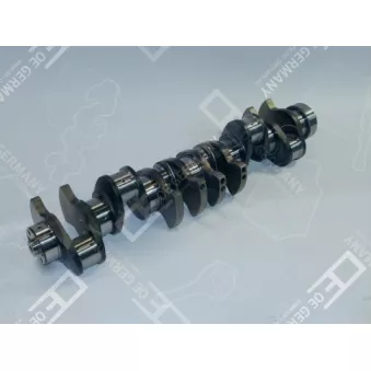 Vilebrequin OE Germany OEM 1399252
