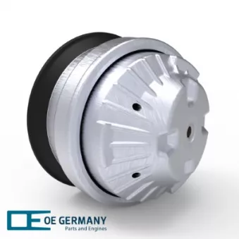 OE Germany 800050 - Support moteur avant droit