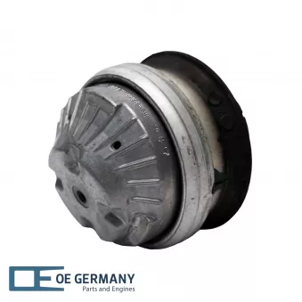 OE Germany 800094 - Support moteur avant droit
