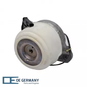 OE Germany 800420 - Support moteur avant droit