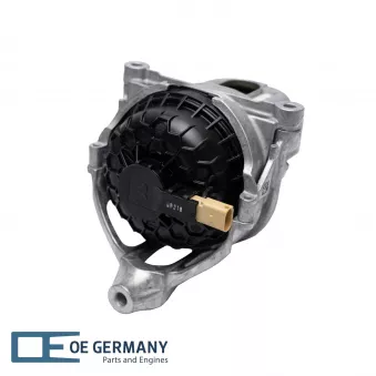 Support moteur avant droit OE Germany 800557 pour AUDI Q5 2.0 TFSI quattro - 252cv