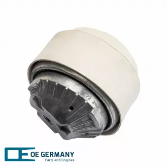 OE Germany 800560 - Support moteur