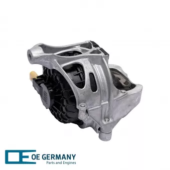 Support moteur avant droit OE Germany 800629 pour AUDI A6 35 TDI Mild Hybrid - 163cv
