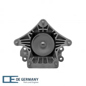 OE Germany 800640 - Suspension, boîte automatique