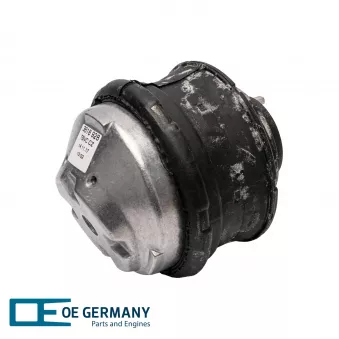 OE Germany 800843 - Support moteur avant gauche