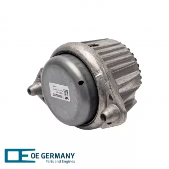 Support moteur OE Germany 800869 pour MERCEDES-BENZ CLASSE E E 350 BlueTEC - 212.224)