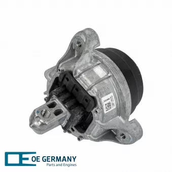 OE Germany 800995 - Support moteur avant droit