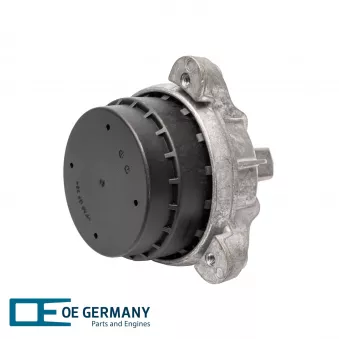 Support moteur OE Germany OEM 80005040