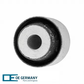 Suspension, jambe d'essieu OE Germany 801073