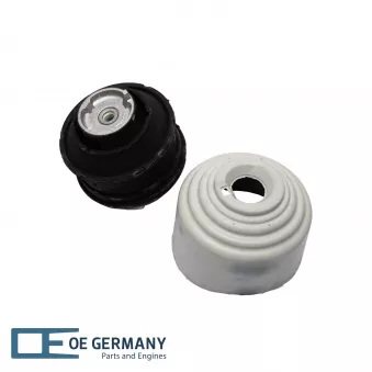 OE Germany 801074 - Support moteur avant droit