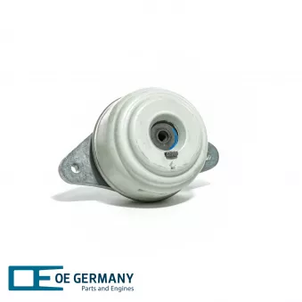 Support moteur OE Germany 801141 pour MERCEDES-BENZ CLASSE E E 350 4-matic - 306cv