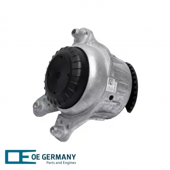 Support moteur OE Germany 801269 pour MERCEDES-BENZ CLASSE E E 220 d - 163cv