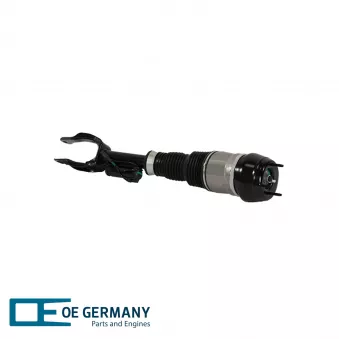 Ressort pneumatique, châssis avant droit OE Germany OEM 1663207013