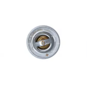Thermostat, liquide de refroidissement NRF OEM 5302487