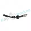 RAP BRAKES R-H0261 - Flexible de frein