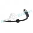 RAP BRAKES R-H0963 - Flexible de frein