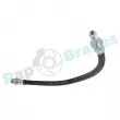 RAP BRAKES R-H1133 - Flexible de frein 