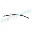 RAP BRAKES R-H1216 - Flexible de frein 
