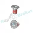 RAP BRAKES R-T0117 - Kit d'accessoires, mâchoire de frein