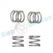 RAP BRAKES R-T0174 - Kit d'accessoires, mâchoire de frein