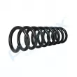 PROFLEX PX1-0185 - Ressort de suspension