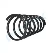 PROFLEX PX1-0369 - Ressort de suspension