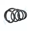 PROFLEX PX1-0463 - Ressort de suspension
