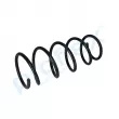 PROFLEX PX1-0489 - Ressort de suspension