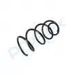 PROFLEX PX1-0491 - Ressort de suspension