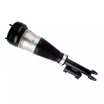 Vérin avant droit BILSTEIN OEM 222320481389