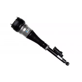 Vérin arrière gauche BILSTEIN OEM 2223202900