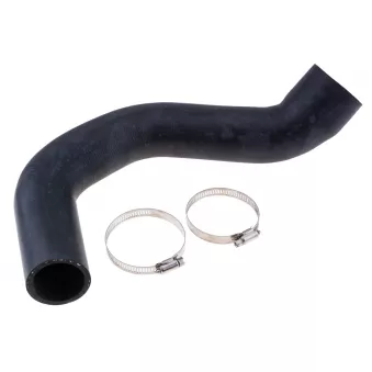 Gaine de suralimentation TEKNÖR GPP-VW-109 pour PONTIAC FIREBIRD 2.0 TDI 4motion - 140cv