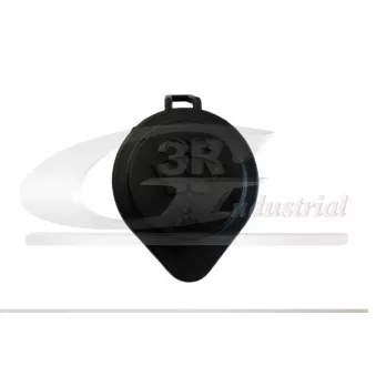 Bouchon, réservoir d'eau de nettoyage 3RG 29100