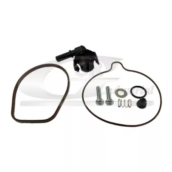 Kit de réparation, pompe à vide (freinage) 3RG 74207 pour PEUGEOT 508 2.2 HDI - 204cv