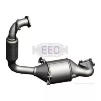 EEC FR6010 - Catalyseur