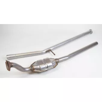 Catalyseur EEC [PT8005]