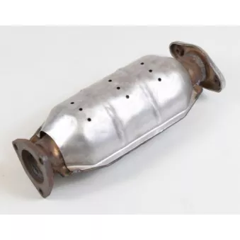 Catalyseur EEC [VX8033]