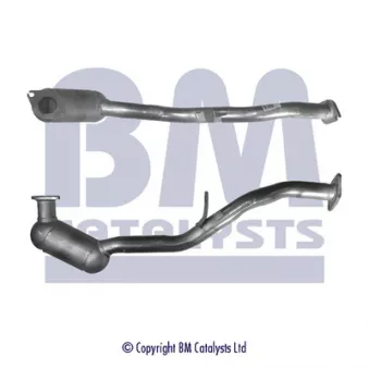 Catalyseur BM CATALYSTS BM91541