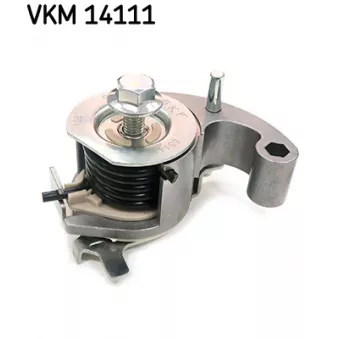 SKF VKM 14111 - Poulie de tension, courroie crantée