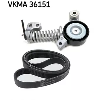 Jeu de courroies trapézoïdales à nervures SKF OEM 31480361
