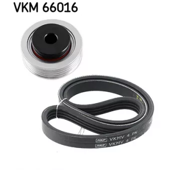 SKF VKMA 66016 - Jeu de courroies trapézoïdales à nervures